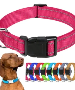 Choker Collar Puppy Neck Collars for Dogs