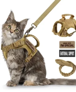 Harness for Cats Pet Products Kittens Goods Breast-band Accessories