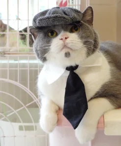Funny Pet Cat Hat Gentleman's Hat Beret Tie