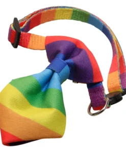 Rainbow Bowtie Adjustable Pet Accessories