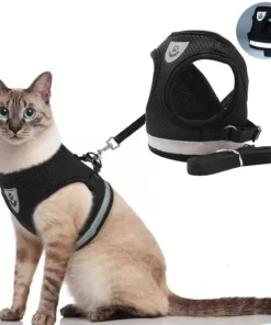 Adjustable Breathable Pet Cat Harness and Leash