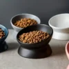 Ceramic Raised Cat Bowl Set - Stress-Free Elevated Pet Feeding Tray