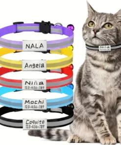 Personalized Free Engraving Reflective Cat Safety Buckle Collar
