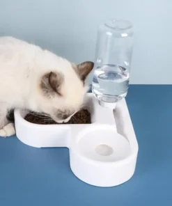 Automatic Water Bowl Feeder with Dispenser -