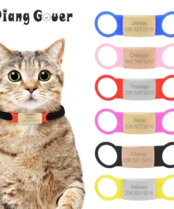 Custom Engraving Pet Name Collar Accessories