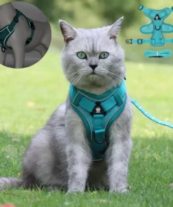 Cat Harness and Leash Set