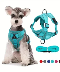 No Pull Dog Harness and Leash Set