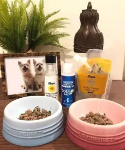 Ceramic colored cat bowl