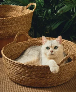 Rattan Weaving Basket For Cat Comfortable Sleeping Cool Weave