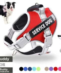 Dog Harness with Custom ID Tag Adjustable  Training Accessories