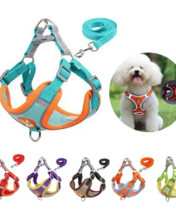 Pet Dog Harness and Leash Set